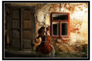 violoncelo